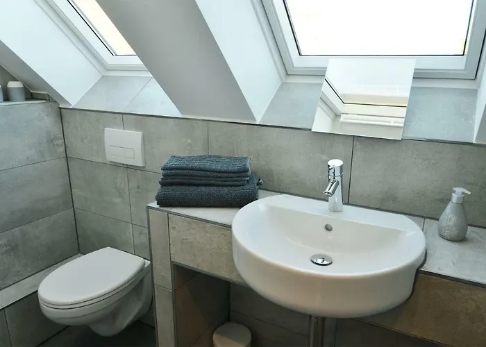 Jung * فالكنزيه